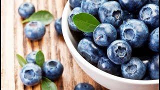 How to grow Blueberries!/Garden Style nw