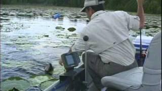 Secrets to Successful Shiner Fishing DVD ( 1 hour & 2 min. )