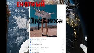 Енотный пиздюха#shorts