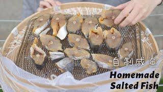 家庭自制咸鱼 Home Made Salted Fish