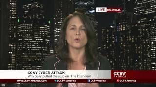 Entertainment consultant Kathryn Arnold discusses Sony hacks