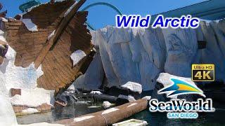 2021 Wild Arctic Complete Walkthrough Ultra HD 4K SeaWorld San Diego
