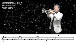 月亮代表我的心(월량대표아적심)鄧麗君(등려군)Trumpet Cover Moon Jaeho