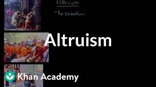 Altruism | Individuals and Society | MCAT | Khan Academy