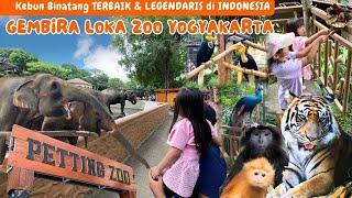 GEMBIRA LOKA ZOO YOGYAKARTA 2024 | KEBUN BINATANG TERBAIK & TERBESAR DI JOGJA | WISATA JOGJA TERBARU