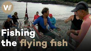 Tao people in Taiwan and their struggle to keep their flying fish culture alive