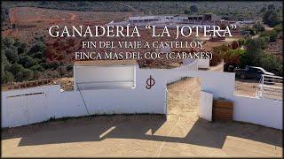 GANADERÍA LA JOTERA, FINAL DEL VIAJE A CASTELLÓN