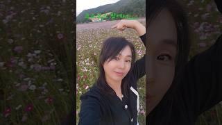 코스모스 밭에 푹빠져버린 여자#shorts#코스모스#빅마우스tv #산책 #황영웅#진정인가요