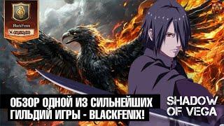 ОБЗОР BLACKFENIX: ЧАСТЬ 1! ОДНИ ИЗ СИЛЬНЕЙШИХ! Тени Пика | Конфликт хидзюцу