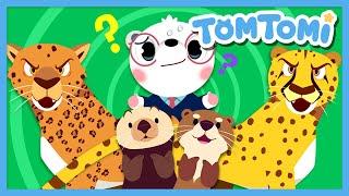 Similar but Different Animals⁉ | Guess who's who? | Animal Name Quiz | Kids Song | TOMTOMI