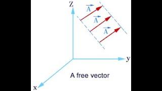 Types of Vector