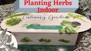 How to Plant Herbs Indoor| Complete Growing Kit | Basil, Cilantro & Chives