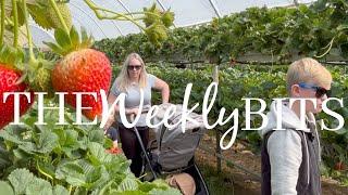 The weekly bits | Newyear & Berries