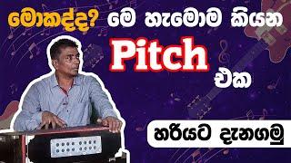 What Is Pitching  , Voice training sinhala | How To Sing   කටහඬ පුහුණුව . සෘතියට ගයන්නේ කොහොමද ?