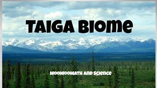 Taiga Biome Facts