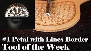 Petal With Lines Border Stamp - Tool of the Week