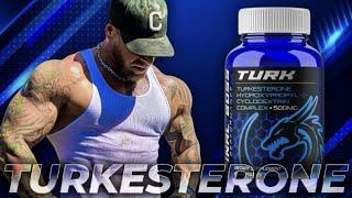 Turkesterone || STRONGER Than SARMs & Steroids?