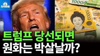 트럼프 당선되면 원화를 박살낼까? (박종훈의 지식한방)