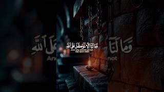 beautiful Quran recitation by qari shaikh hamdy al zamel