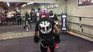 SPARRING #boxing Lomachenko vs TJ Dillashaw #mma (Ломаченко - Ти Дж Диллашоу)