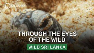 So Sri Lanka - Meet the Locals and see Sri Lanka through their eyes