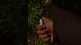 ₹10 രൂപയുടെ അതിശയകരമായ ഒരു Windproof ലൈറ്റർ ||#lighter#trending||#abhitech