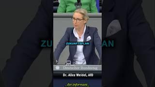 Der 100-Tage-Plan der AfD!