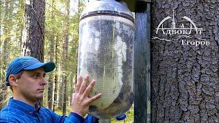 Bottle-to-Bottle Honey Production | Contactless Beekeeping