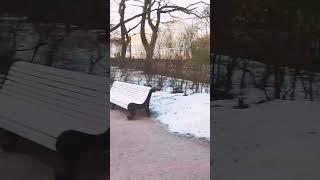 Кронштадт Памятник Беллинсгаузену  #первооткрыватель Антарктиды #кронштадт #памятник #адмирал#