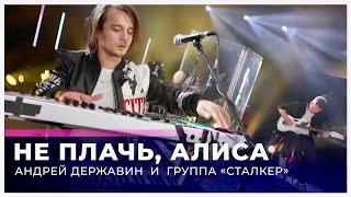 Андрей Державин - Алиса (Live "Большая рыба")