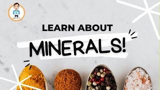 Learn about Minerals (Micronutrients) |  PE Buddy