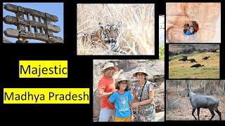 Majestic Madhya Pradesh - Blog by 11 year old #travelblogger