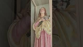 Our lady of rosary  ️ #MotherMary#Viral video