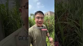 買房登記在誰的名下超重要