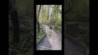 Графский заповедник.#Воронеж