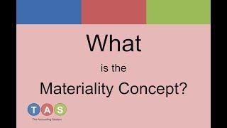 What is the Materiality Concept?