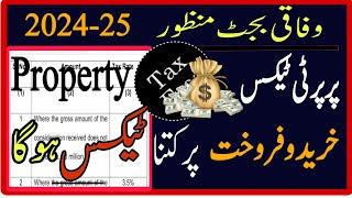 Property Taxes   Sale & Purchase   Budget 2024 25 | Complete Detail | Wakeel Nama