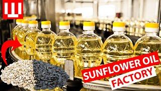 How Sunflower Oil Is Manufacturing In Factory | Amazing Commercial Food Production Process