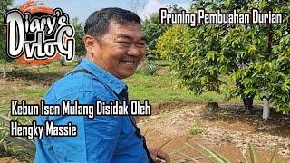 Pruning Pembuahan  Pohon Durian Dari Mentor Isen Mulang Farm. Edisi #DiarysVlog Episode 3