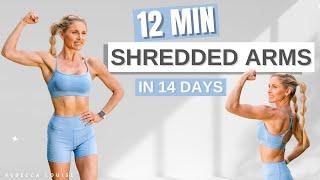 SHREDDED ARMS in 14 Days home workout (12 min Upper Body)