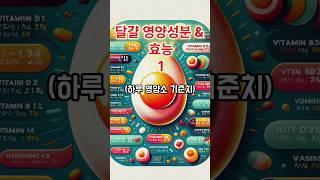 달걀 영양성분&효능1