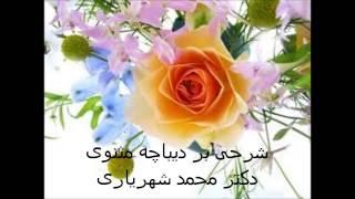 شرحی بر دیباچه مثنوی