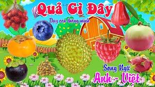 Quả Gì Đây 2 - Dạy Bé Nhận Biết Các Loại Hoa Quả Trái Cây - Song Ngữ Anh Việt