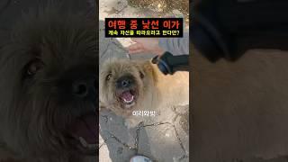 집착이 심한 솜뭉치