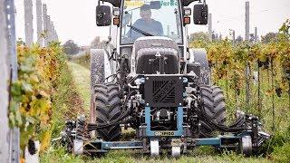 FENDT 211P + 'SPEDO' DUAL | Front INTERROW CULTIVATOR - Scolmatrice Interceppo | TEAM GIALLO VERDE