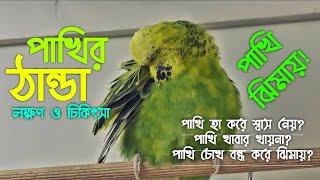 বাজরিগার পাখির ঠান্ডার চিকিৎসা| পাখি হা করে নিঃশ্বাস নেয় কেনো ? badgerigar Pakhir Thandar Treatment