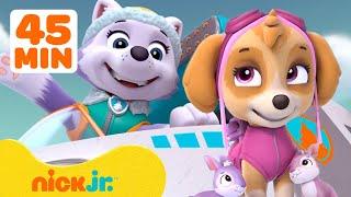 PAW Patrol Everest Rescues Skye & More Adventures! w/ Chase | 45 Minute Compilation | Nick Jr.