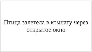 Как сказать по-немецки "Птица залетела в комнату через открытое окно" - полный разбор всех нюансов