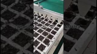 Foam seedling tray, vegetable seed precision point broadcastor