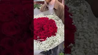 База цветов Питер Зелёный опт. #25роз #51роза #101роза #букетроз #Питер #роза #пион #лилия #сирень